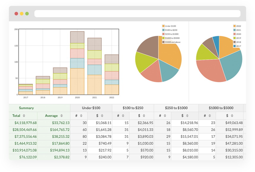 Example Screenshot of Data in Giveffect's Report View